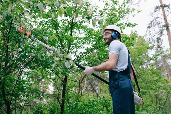 Quick and Reliable Tree Trimming Service You Can Count On
