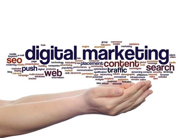 Get More Qualified Leads with a Phoenix SEO Agency