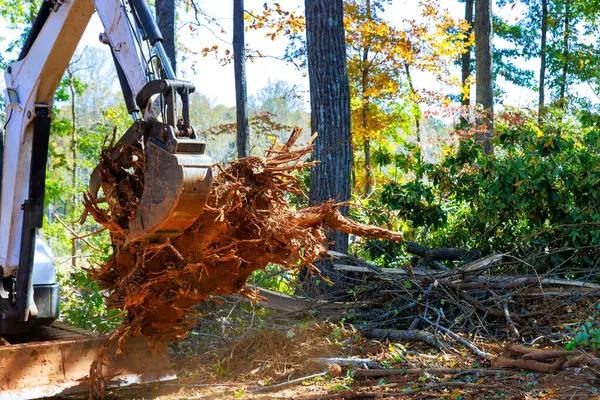 Shelton WA Tree Removal Experts for Large and Difficult Trees