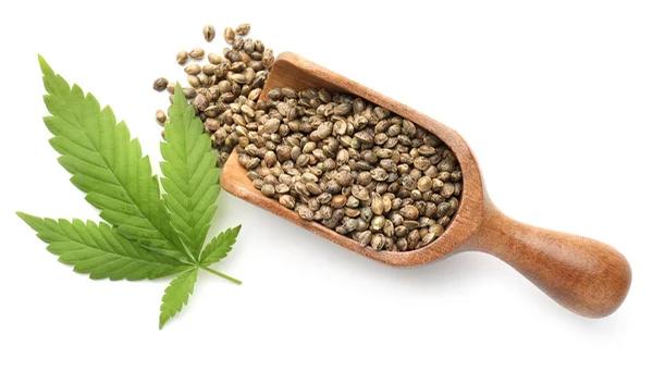 Key Factors for Understanding Hemp-Derived Delta-8 Products
